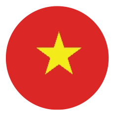 Vietnam flag icon