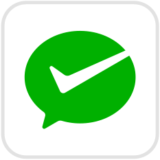 WeChat Pay icon