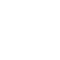 Arrow Right Icon