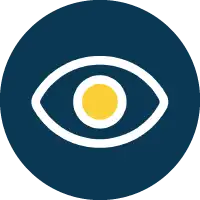 Company Vision Icon
