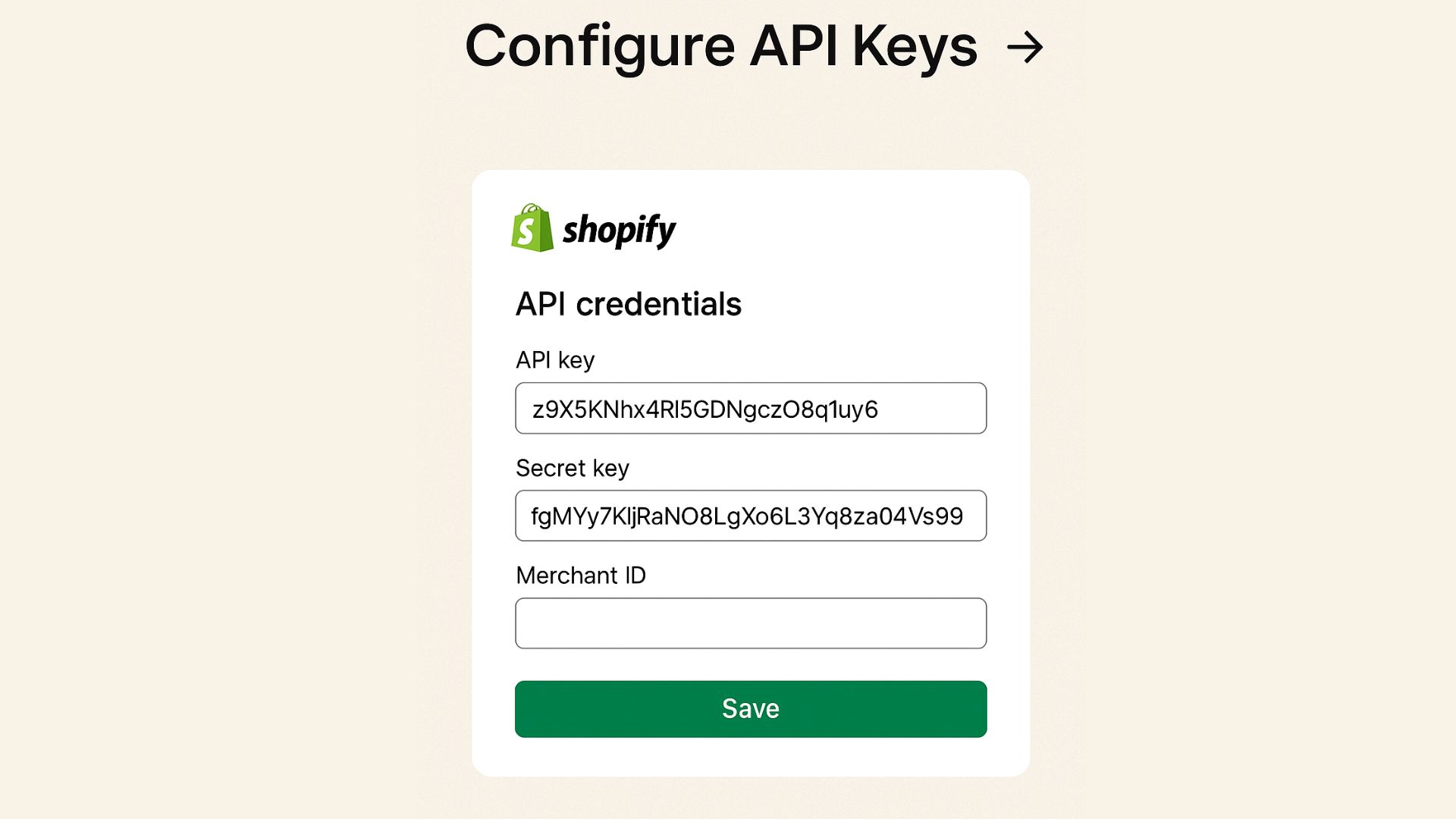 Step 4 of Step-by-Step Setup on Shopify by Paydibs